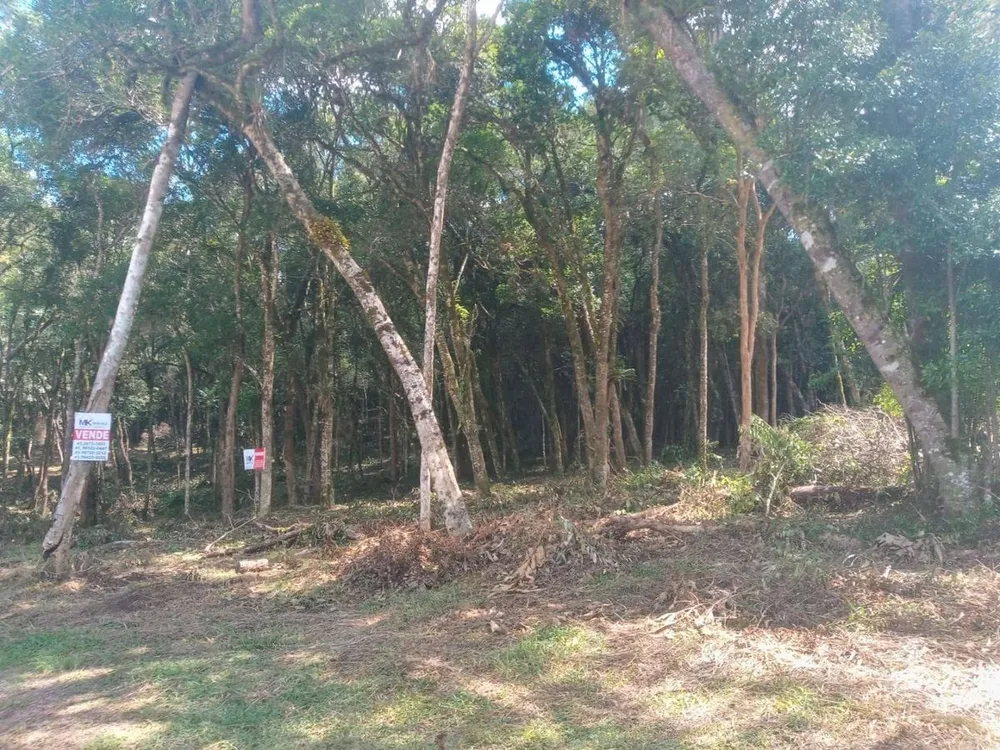 Terreno - Foto 5