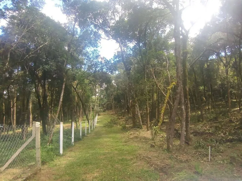 Terreno - Foto 1