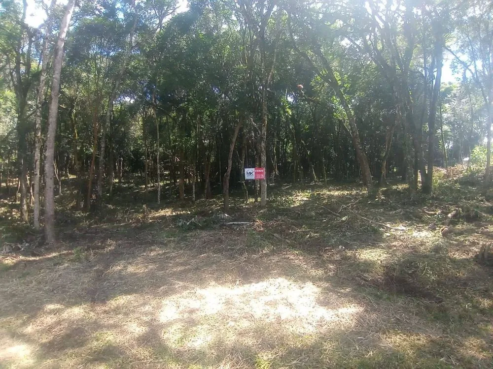 Terreno - Foto 7