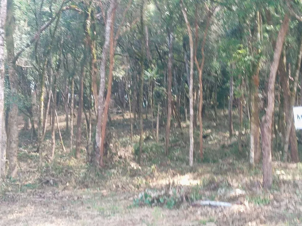 Terreno - Foto 3