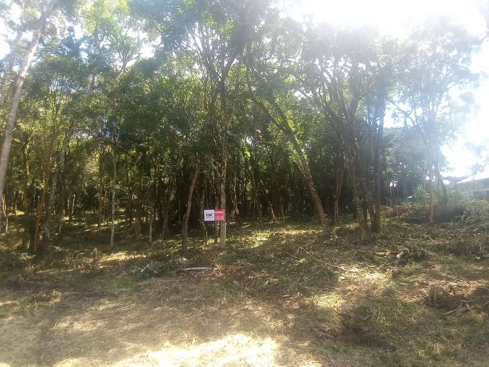 Terreno - Foto 9