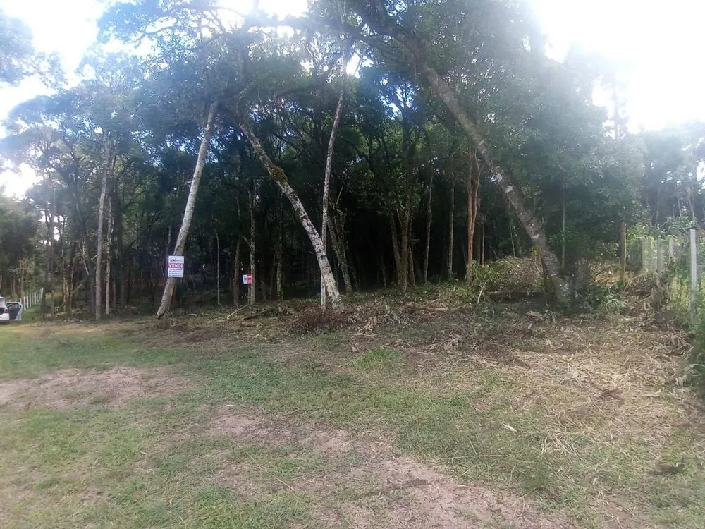 Terreno - Foto 8