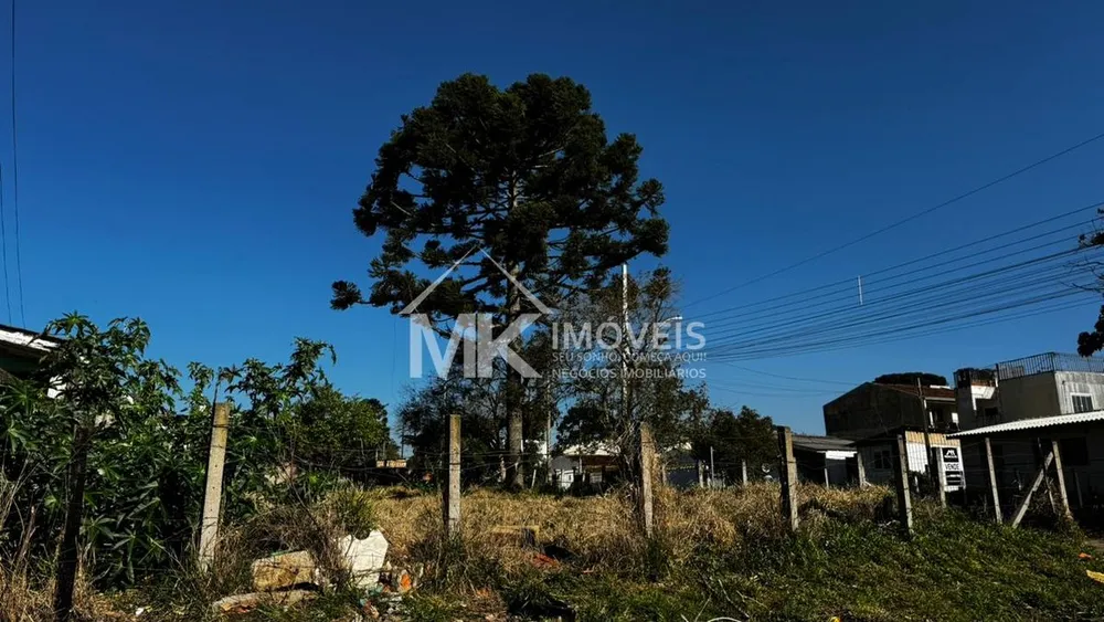 Terreno, 472 m² - Foto 7