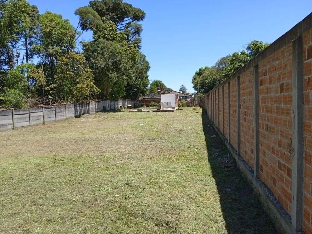 Terreno - Foto 4