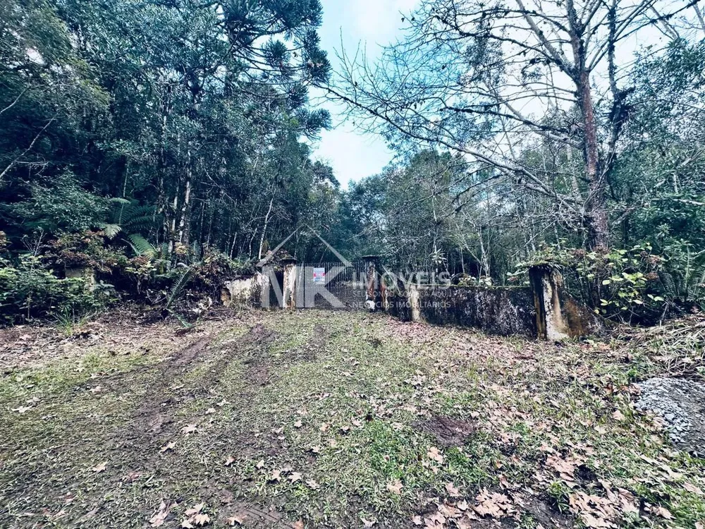 Chácara, 2 hectares - Foto 2