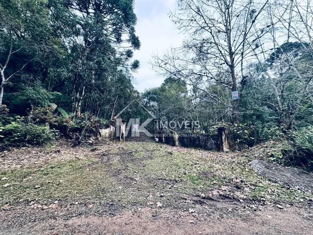 Chácara, 2 hectares - Foto 4