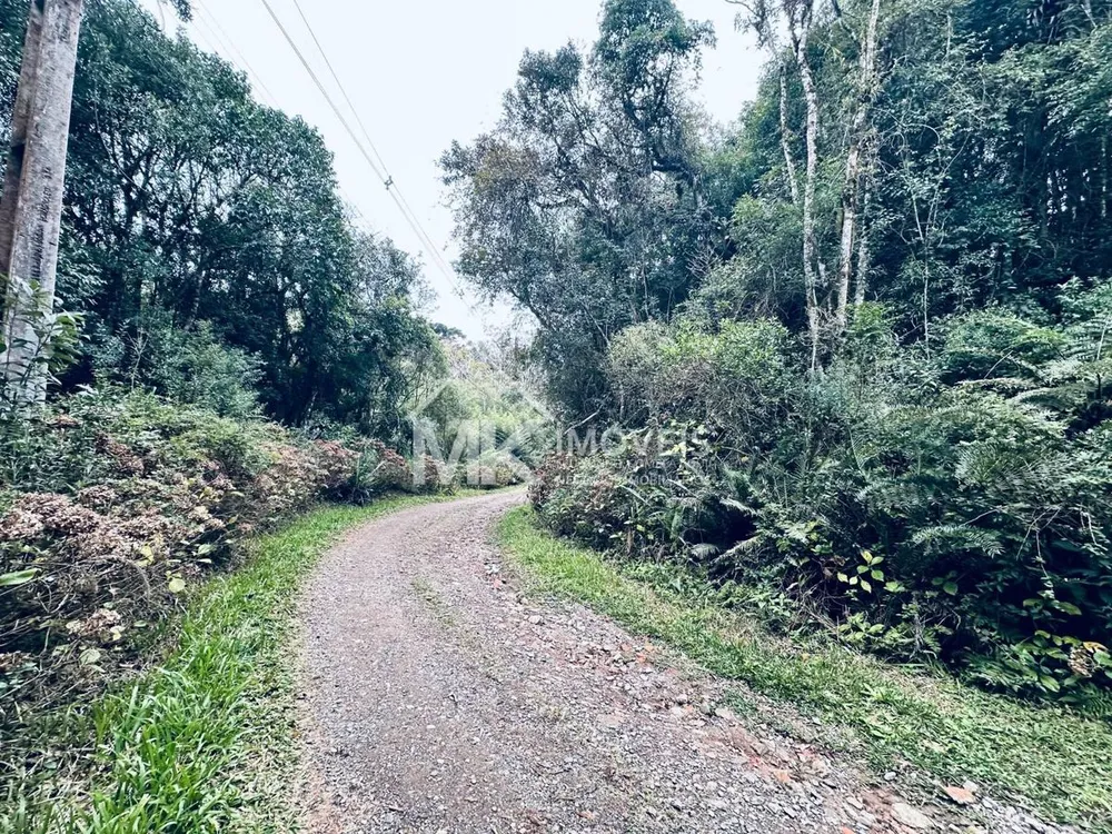 Chácara, 2 hectares - Foto 1