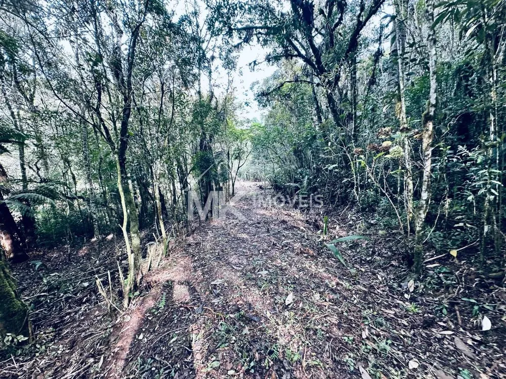 Chácara, 2 hectares - Foto 8