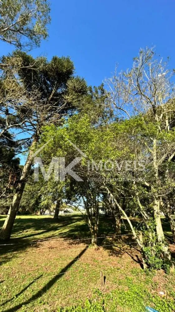 Terreno, 1080 m² - Foto 6
