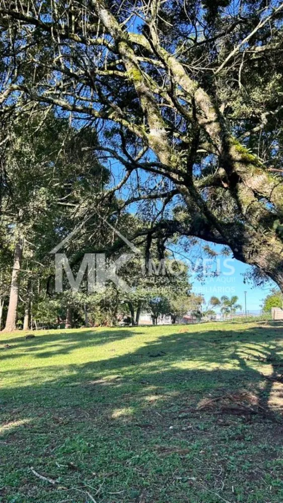 Terreno, 1080 m² - Foto 2