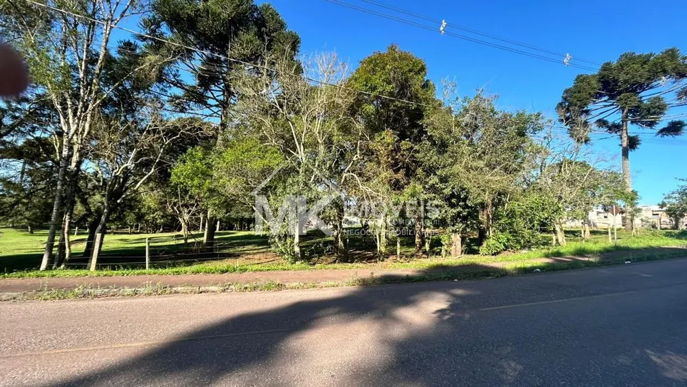 Terreno, 1080 m² - Foto 5