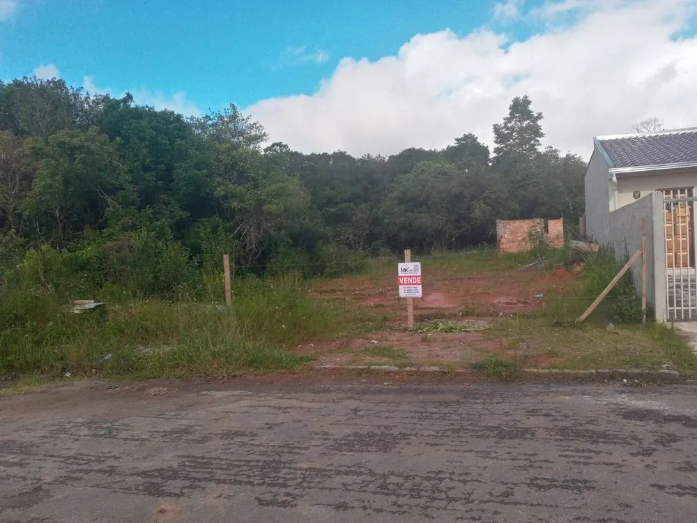 Terreno - Foto 4