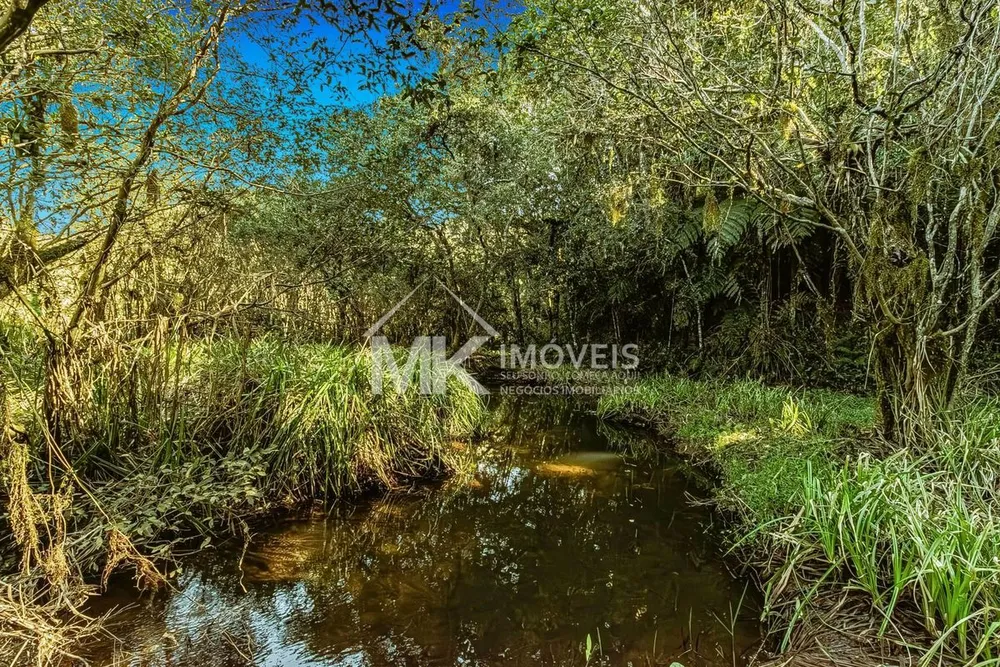 Chácara, 2 hectares - Foto 4