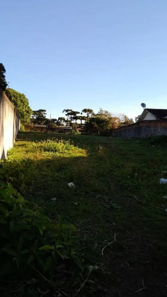 Terreno - Foto 4