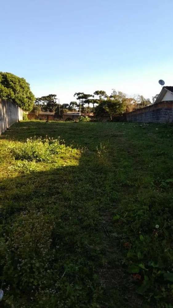 Terreno - Foto 1