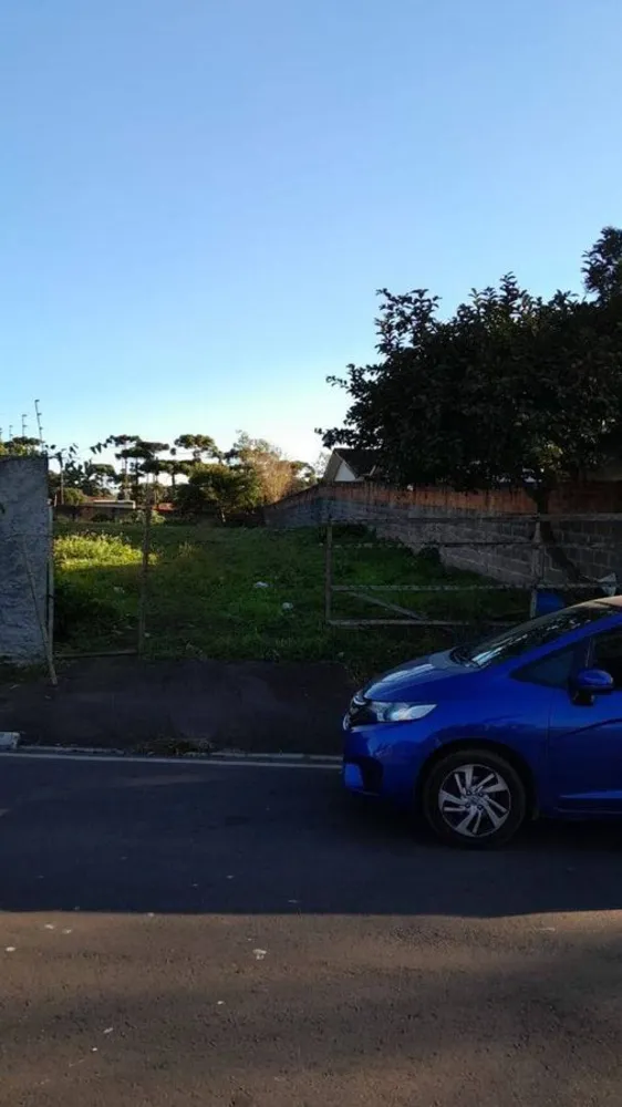 Terreno - Foto 3