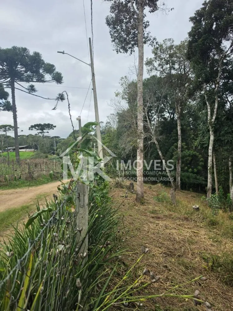 Chácara, 3700 m² - Foto 3