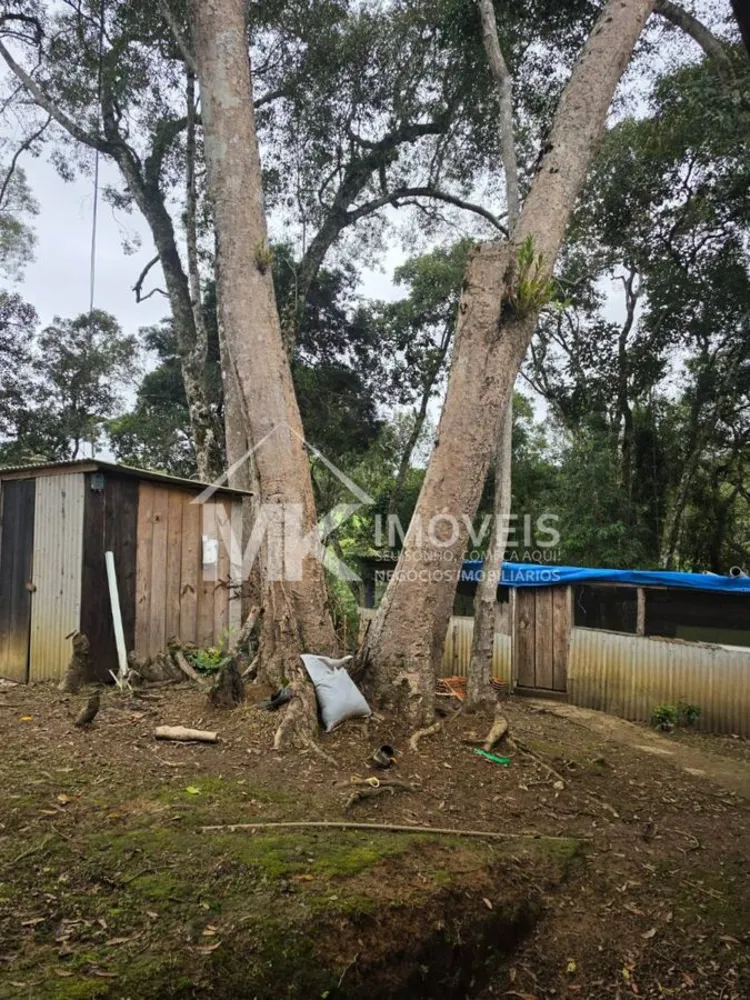 Chácara, 3700 m² - Foto 2
