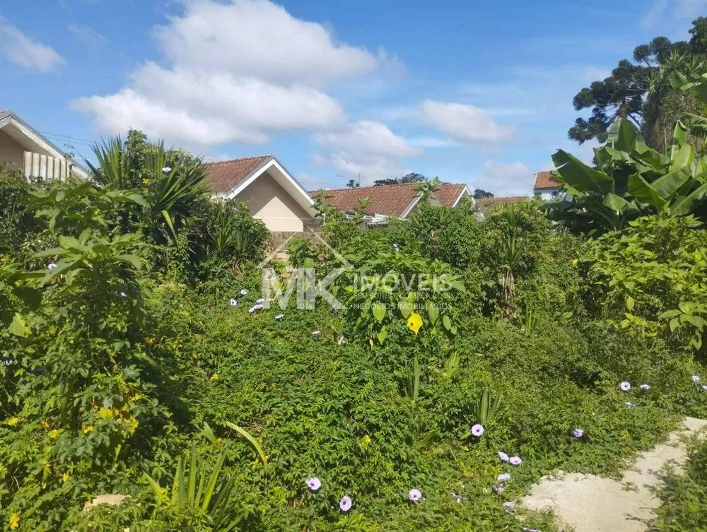 Terreno, 2034 m² - Foto 5