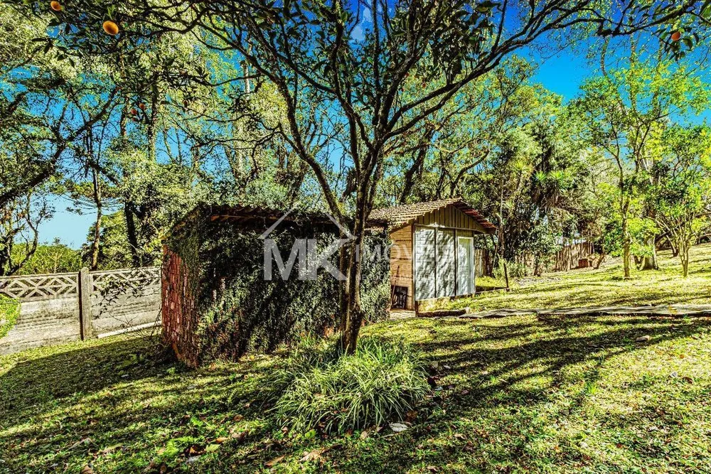 Chácara, 6 quartos, 5000 m² - Foto 4