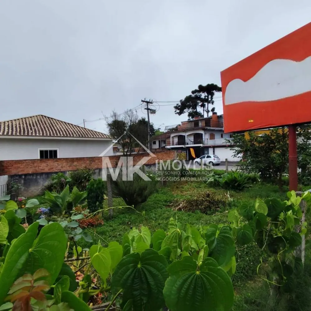 Terreno, 247 m² - Foto 4