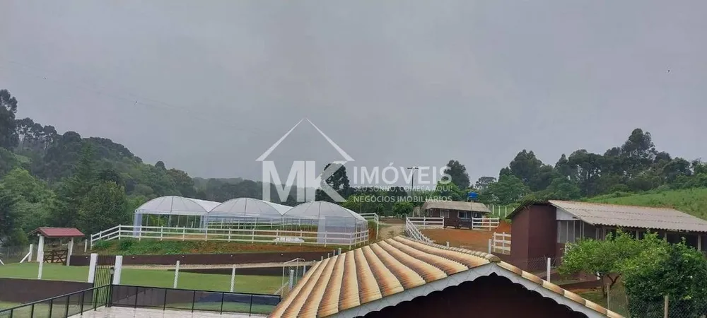 Chácara, 6000 m² - Foto 4