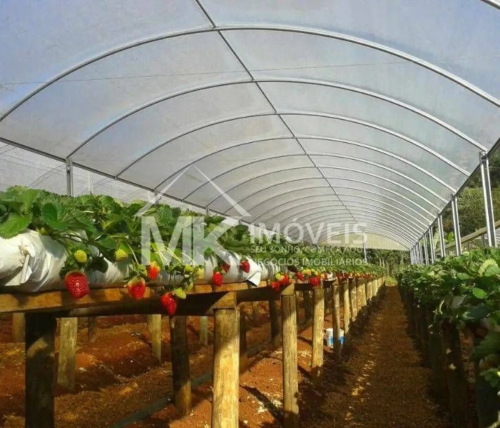 Chácara, 6000 m² - Foto 12