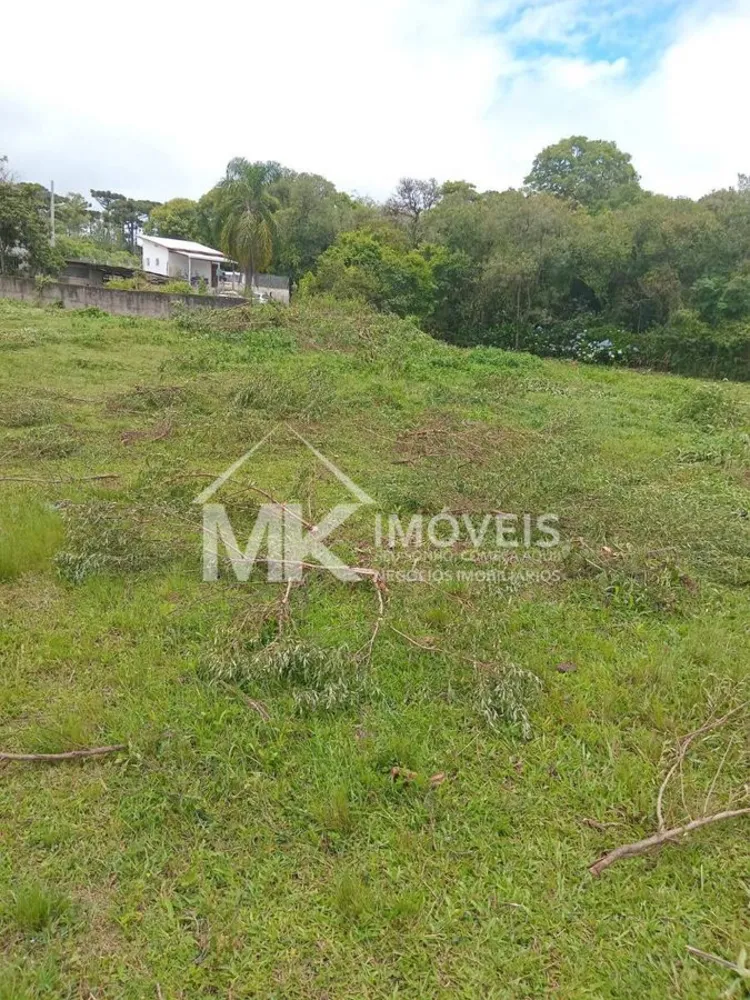 Terreno, 3690 m² - Foto 7