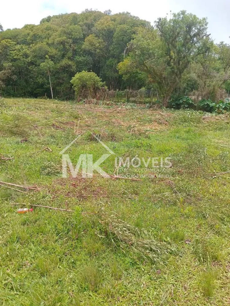 Terreno, 3690 m² - Foto 5