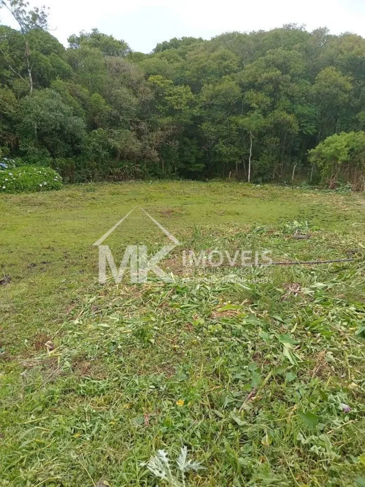 Terreno, 3690 m² - Foto 3