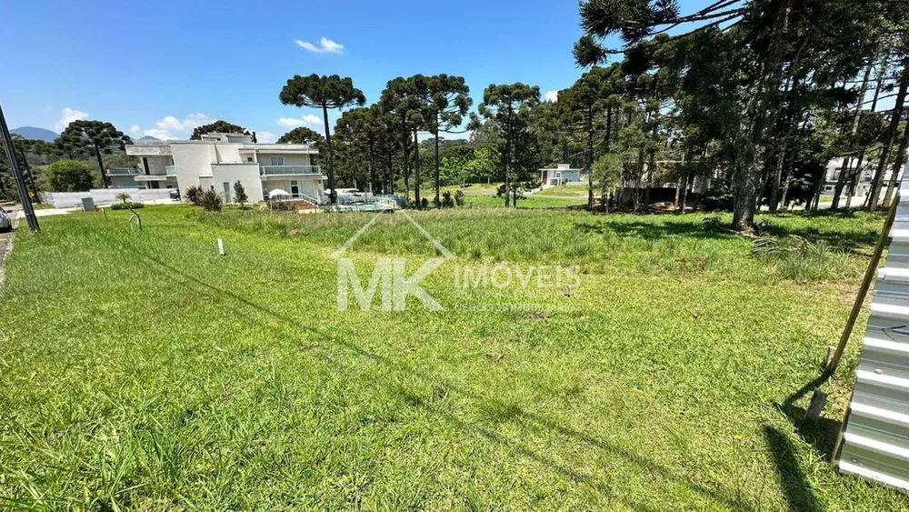 Terreno, 1004 m² - Foto 6