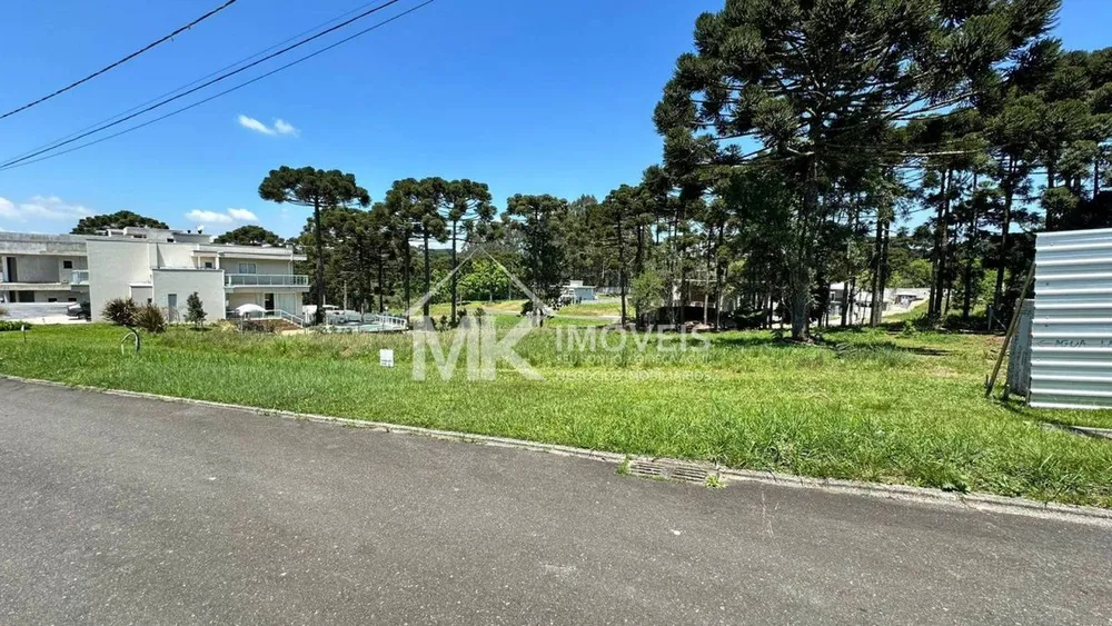 Terreno, 1004 m² - Foto 3
