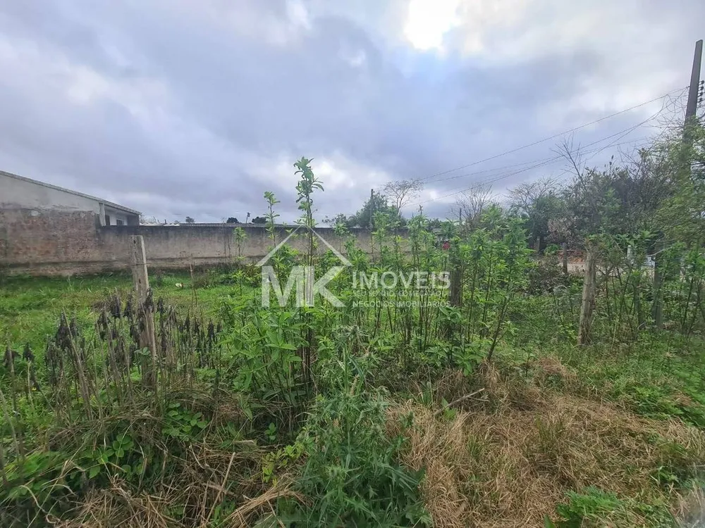 Terreno, 132 m² - Foto 6