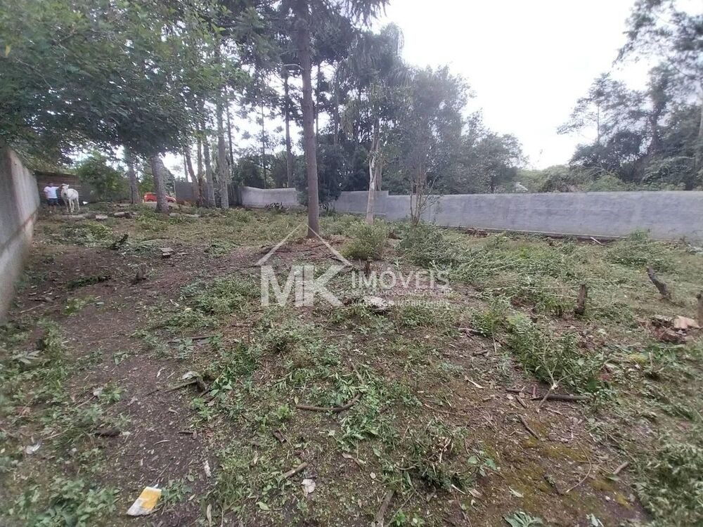 Terreno, 1000 m² - Foto 5