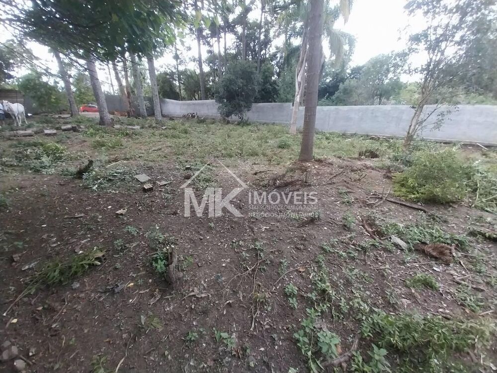 Terreno, 1000 m² - Foto 2