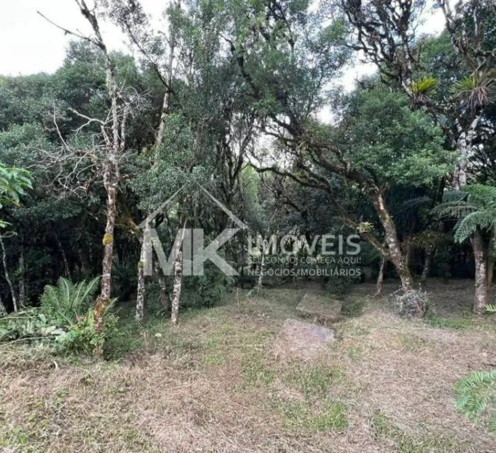 Chácara, 3 quartos, 6590 m² - Foto 2