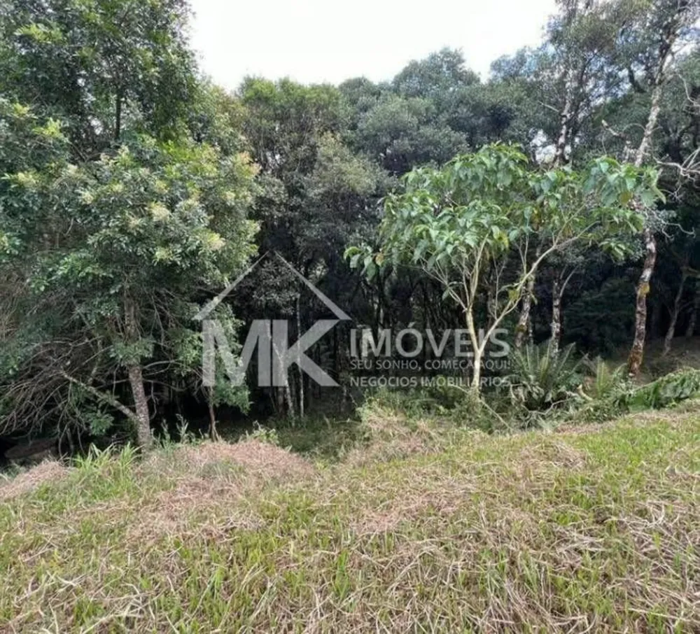 Chácara, 3 quartos, 6590 m² - Foto 3