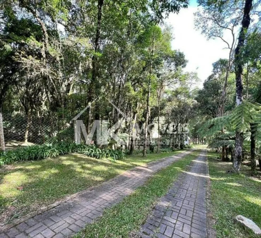 Chácara, 3 quartos, 6590 m² - Foto 5