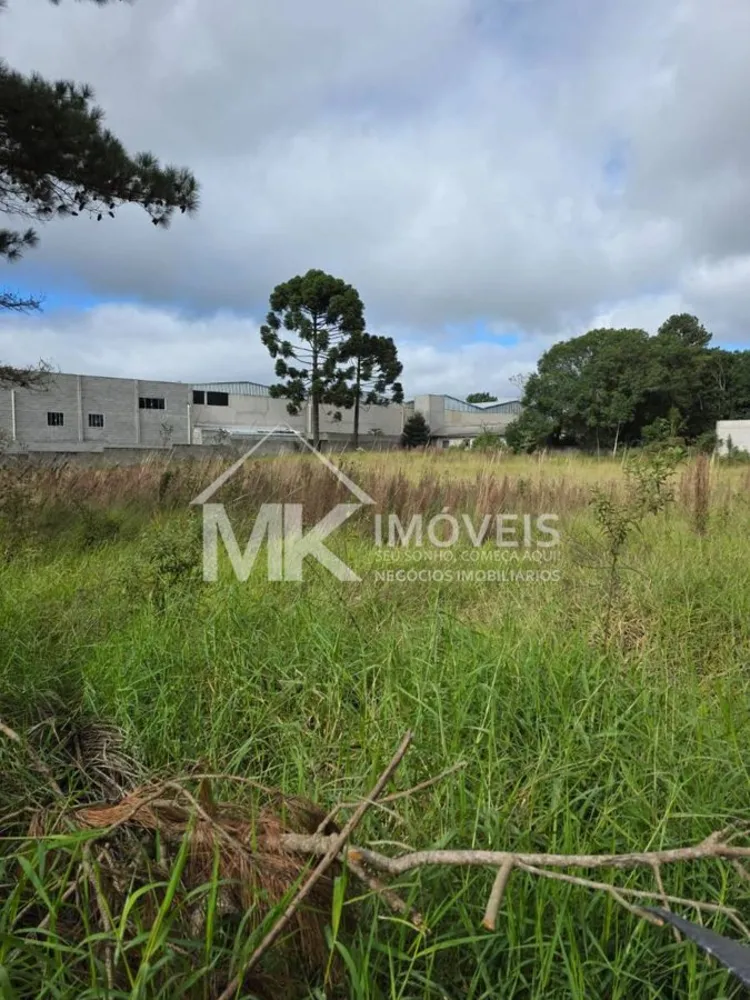Terreno, 3600 m² - Foto 2
