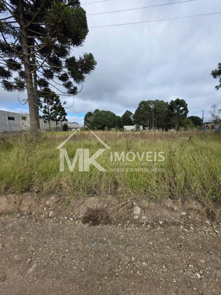 Terreno, 3600 m² - Foto 3