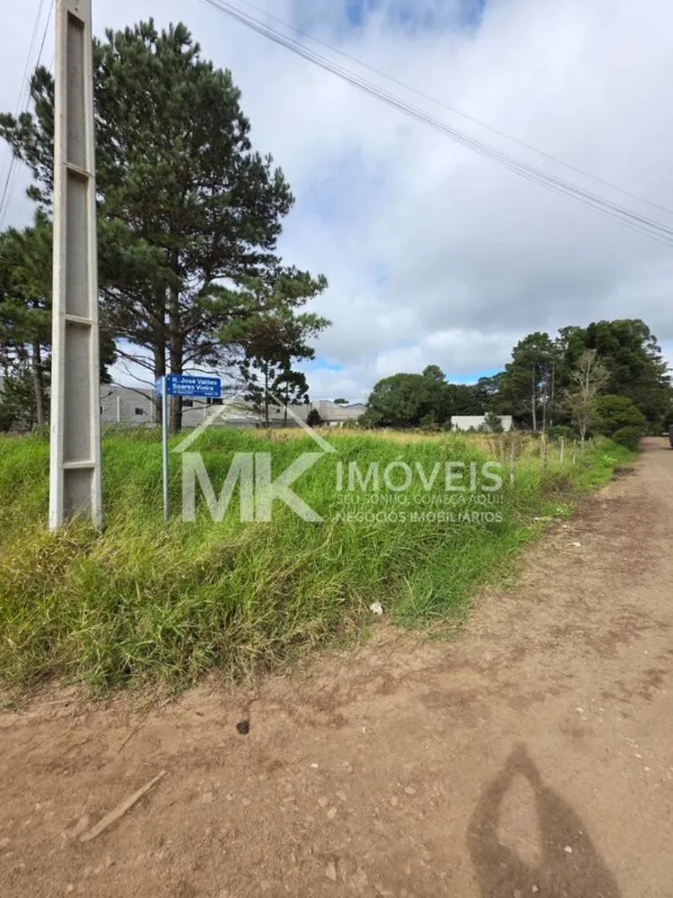 Terreno, 3600 m² - Foto 4