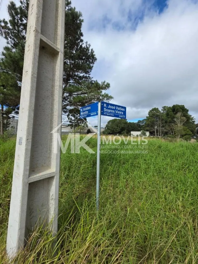 Terreno, 3600 m² - Foto 5