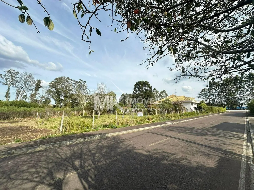 Terreno, 600 m² - Foto 7