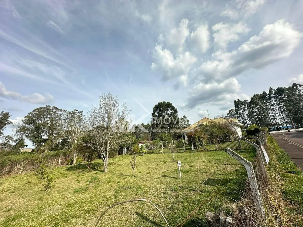 Terreno, 600 m² - Foto 6