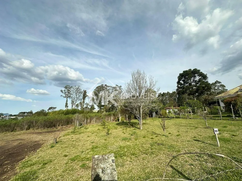 Terreno, 600 m² - Foto 1