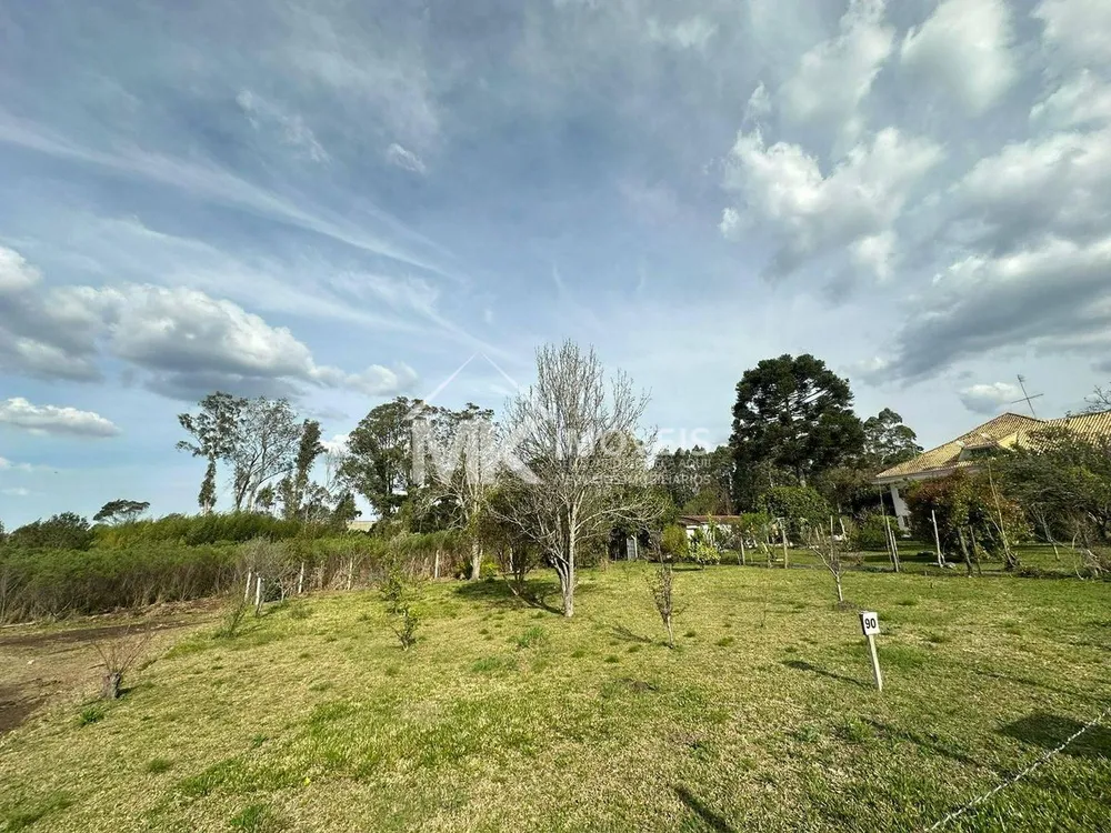 Terreno, 600 m² - Foto 5