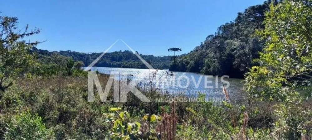 Chácara, 3 quartos, 5000 m² - Foto 1