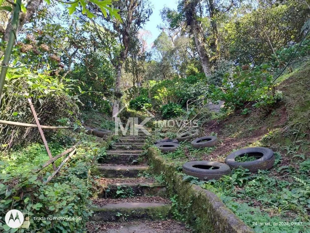 Chácara, 3 quartos, 5000 m² - Foto 7