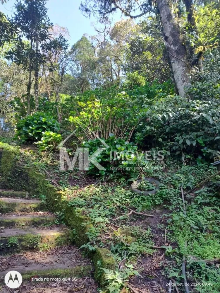 Chácara, 3 quartos, 5000 m² - Foto 6