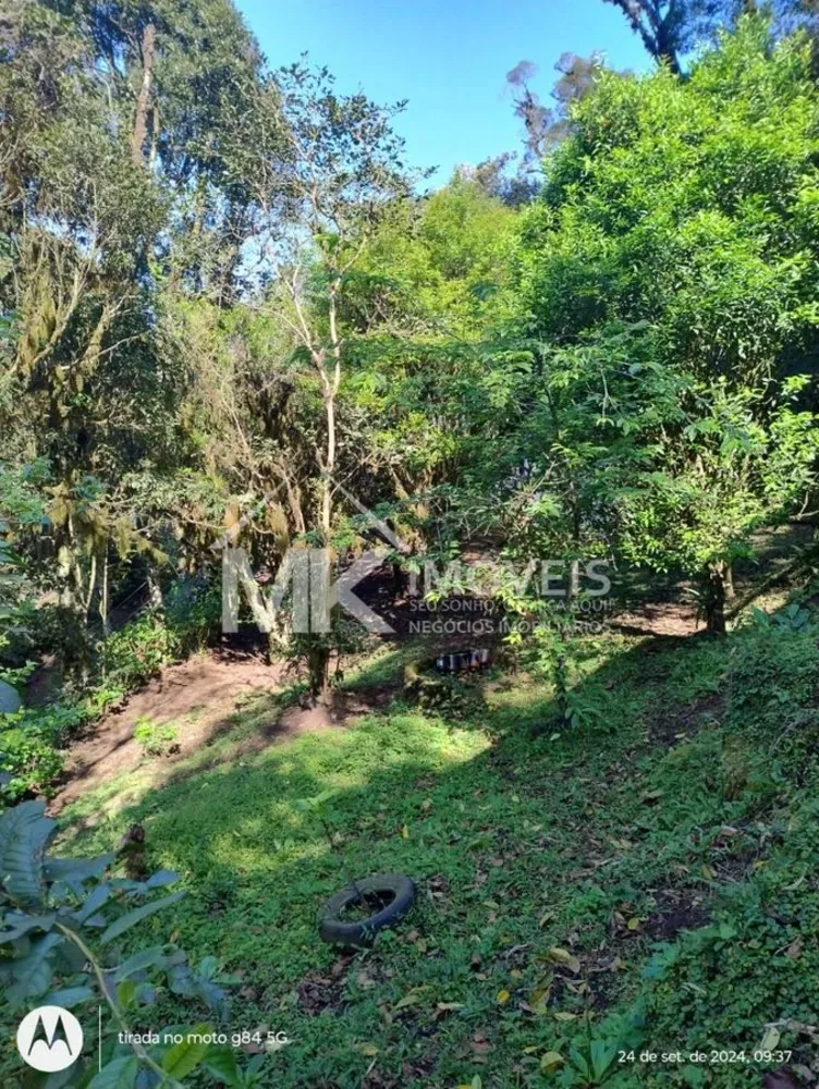 Chácara, 3 quartos, 5000 m² - Foto 3